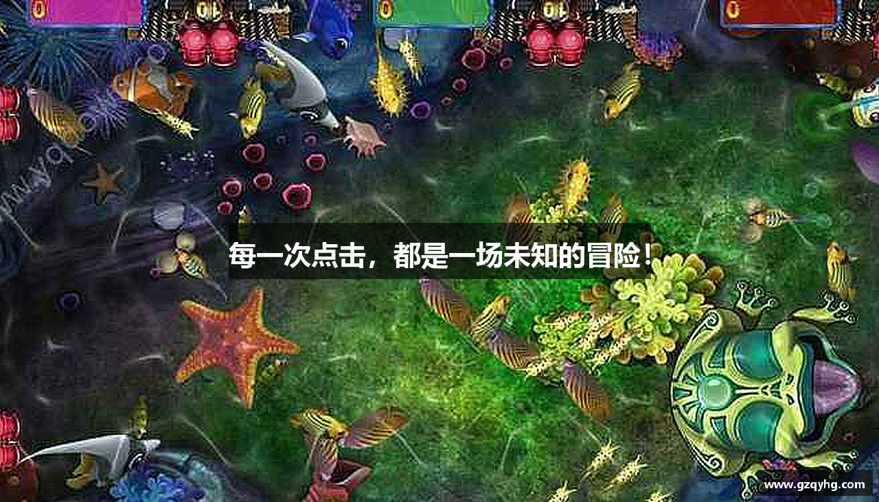每一次点击，都是一场未知的冒险！